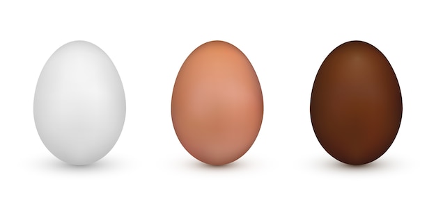 Vector huevo de pascua blanco, marrón y chocolate