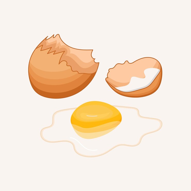Huevo de pollo entero en una ilustración de vector de cáscara marrón y mitad purificada de huevos de pollo hervidos cortados
