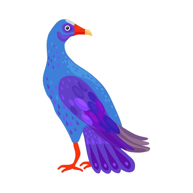 Vector huevo tropical con plumas brillantes como vertebrados de sangre cálida o ilustraciones vectoriales de aves