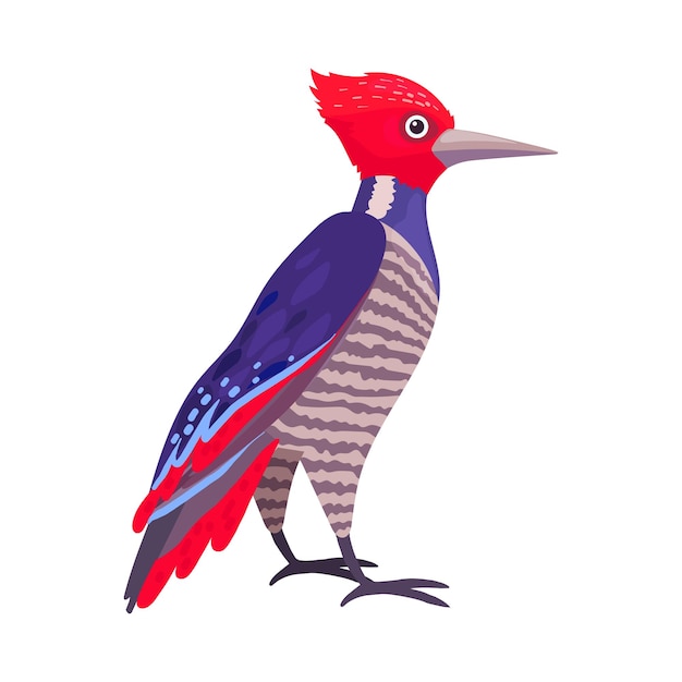 Vector huevo tropical con plumas brillantes como vertebrados de sangre cálida o ilustraciones vectoriales de aves