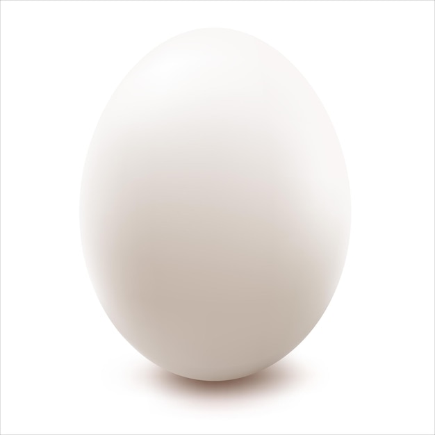 Vector huevo