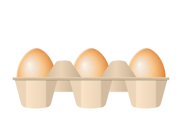 Huevos en caja de cartón