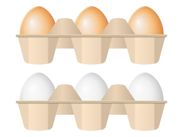 Vector huevos en cajas de cartón