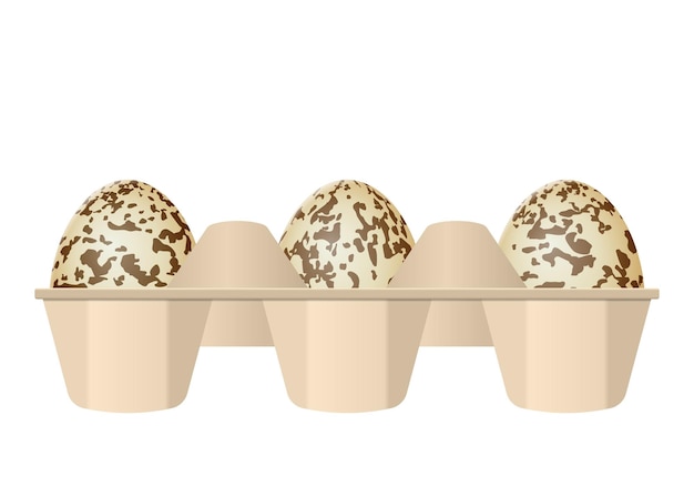 Huevos de codorniz en caja de cartón