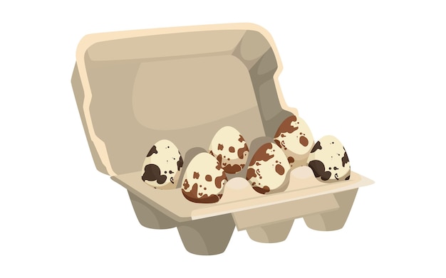 Huevos de codorniz en una caja Ilustración vectorial