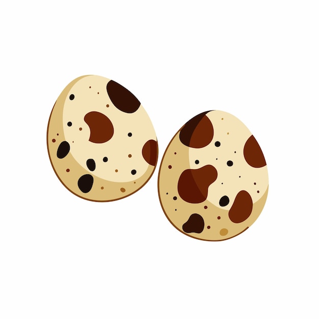 Huevos de codorniz Huevo natural de pájaro Ilustración plana de dibujos animados de productos sobre un fondo blanco aislado 12