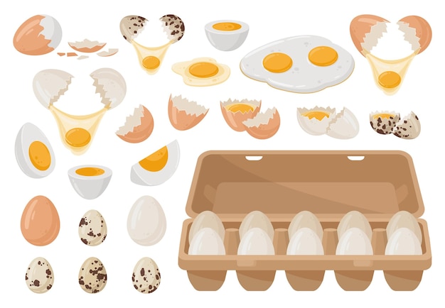 Huevos de dibujos animados huevo crudo cocido y frito cáscara de huevo agrietada huevos revueltos rellenos comida saludable proteína deliciosa desayuno ingrediente plano vector ilustración conjunto colección de huevos