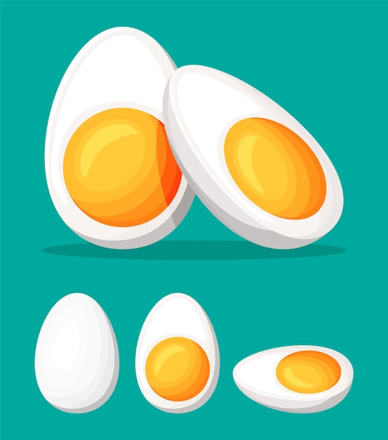 Huevos duros cortados por la mitad aislados sobre fondo verde. Icono de huevo de dibujos animados. Productos lácteos y abarrotes. Concepto de maqueta de Pascua. Ilustración de vector plano.