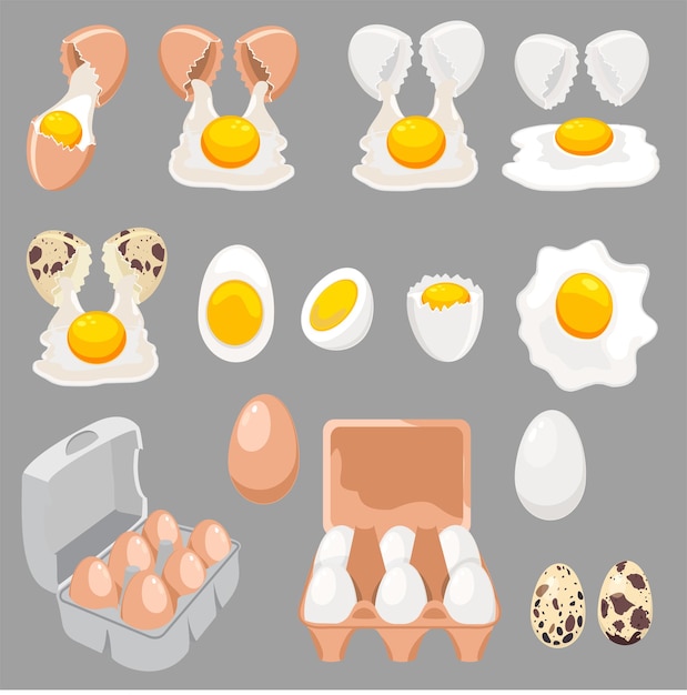 Huevos frescos hervidos y fritos. Dibujos animados de huevos rotos con cáscara de huevo agrietada, en caja de cartón y medio huevo con yema. Huevos de gallina y codorniz. Ilustración vectorial