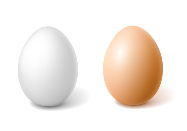Vector huevos de gallina 3d realistas de vectro con símbolo de pascua de cáscara de huevo blanco marrón
