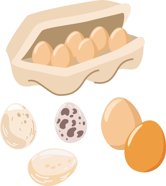 Huevos de gallina. Huevos marrones frescos en una caja de papel. Alimentos proteicos saludables. Avicultura. Para impresión, folletos, tiendas, restaurantes y agricultura. Ilustración de dibujos animados vectoriales.
