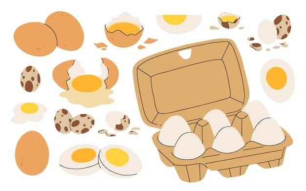 Huevos de pollo y codorniz con yema amarilla de cáscara de huevo rota y entera Alimentos proteicos fritos cocidos crudos en cáscara Nutrición agrícola envasada en envases de caja Ilustraciones de vectores planos aislados