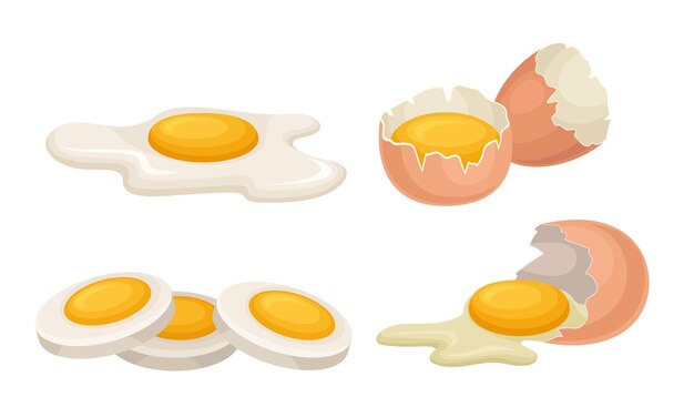 Vector huevos puestos huevos rotos con cáscara agrietada ilustración vectorial de alimentos orgánicos saludables