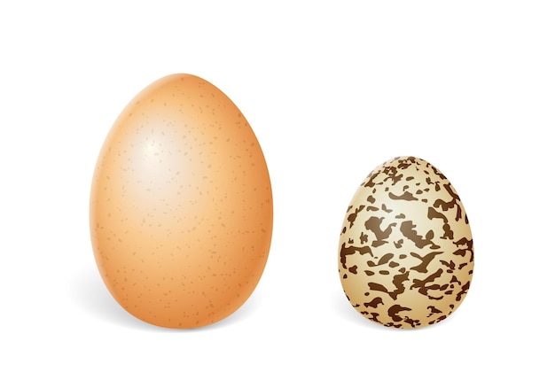 Huevos