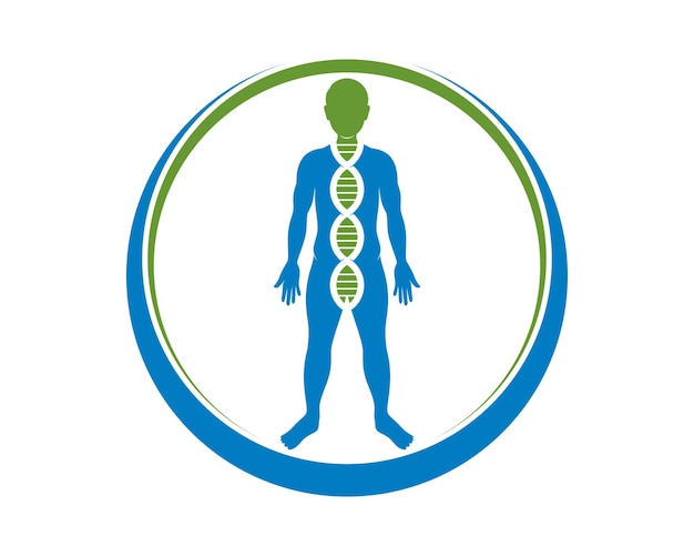 Humano sano con hélice de ADN dentro