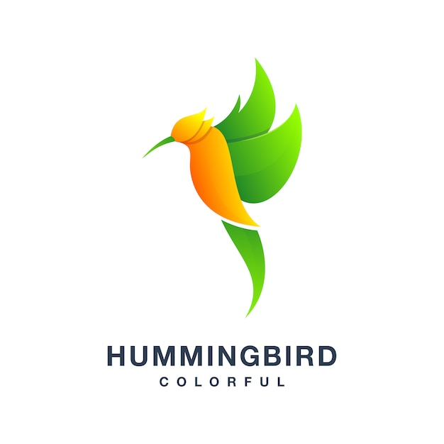 Humming bird logo colorido