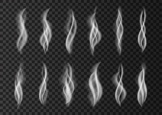 Humo blanco aislado sobre fondo transparente. Vapor caliente de una taza de café o té. Oler. Ilustración de vector de vapor realista.