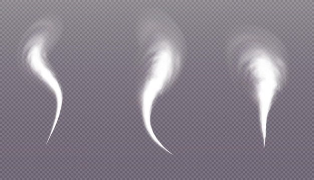 Humo blanco sobre un fondo transparente. Humo de narguile, gas venenoso, polvo morado, efecto niebla.