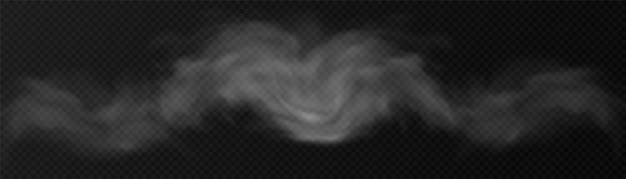 Humo translúcido sobre un fondo transparente efecto de vapor efecto especial textura de vector de vapor