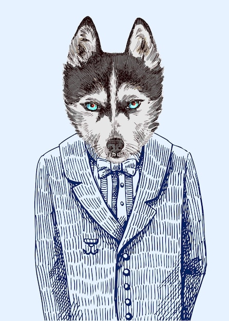 Husky en chaqueta ilustración vectorial para póster de tarjeta de felicitación o estampado en ropa hipster de dibujo de estilo de moda