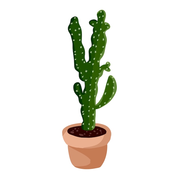 Hygge planta de cactus en maceta. Acogedora imagen aislada suculenta estilo escandinavo lagom
