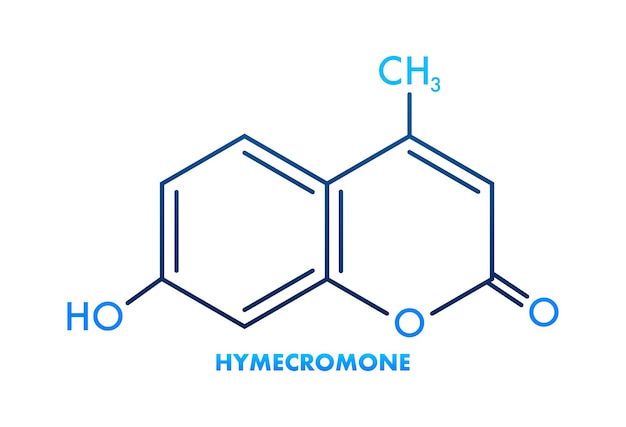 Hymecromone fórmula gran diseño para cualquier propósito