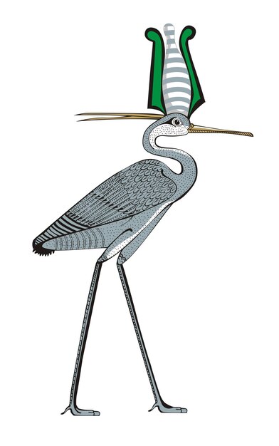 Vector ibis