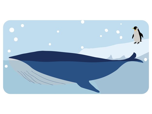 Vector icebergs pingüinos y ballenas