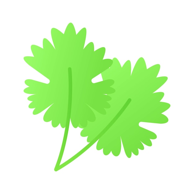 Icon increíble de cilantro en el estilo de diseño de tendencia listo para usar vector