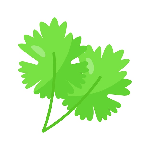 Icon increíble de cilantro en el estilo de diseño de tendencia listo para usar vector