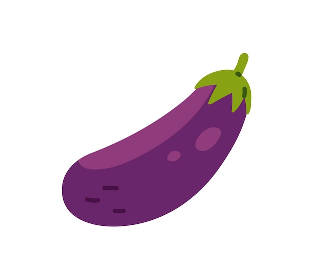 Icon of ripe eggplant Raw aubergine whole brinjal Agriculture crop vegetable farm food for healthy eating Organic grocery product natural veggie Flat isolated vector illustration on white