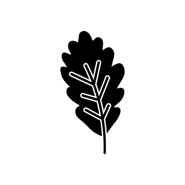 Icon Set de hoja de roble con venas Símbolo vectorial de textura de hoja de caída en un estilo de relleno y delineado en negro Nature39s Patterns Sign