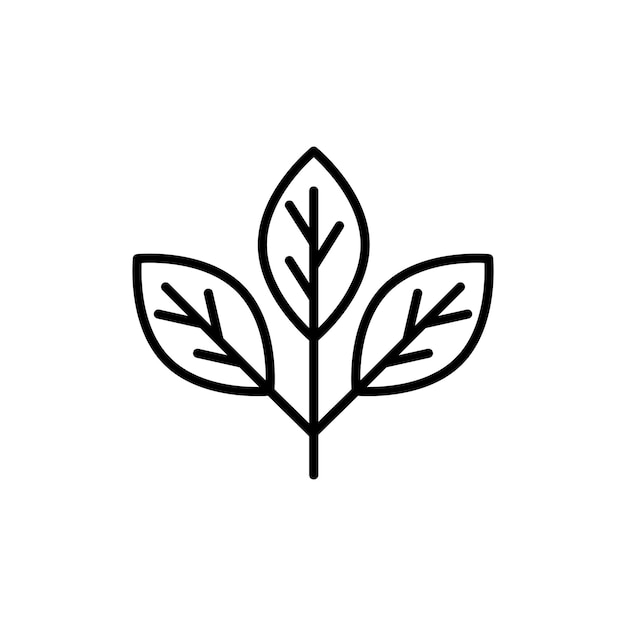 Icon Set de Hojas Símbolo vectorial de té ecológico verde en un estilo negro lleno y delineado Signo de venas de Nature39s