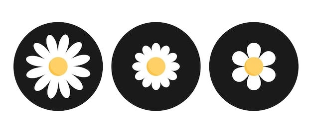 Las iconas de las flores de manzanilla en círculos negros