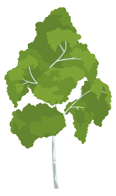 Icono de abedul Árbol de verano verde Planta natural