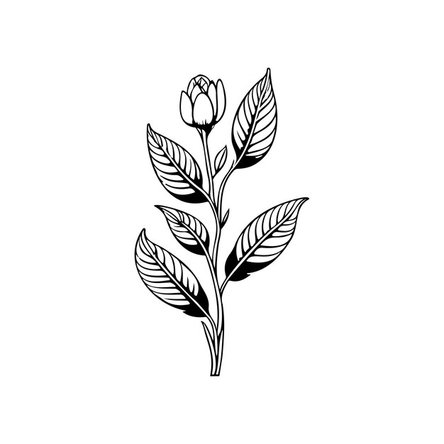 Icono de aconita dibujado a mano elemento vectorial y símbolo del logotipo de la planta negra