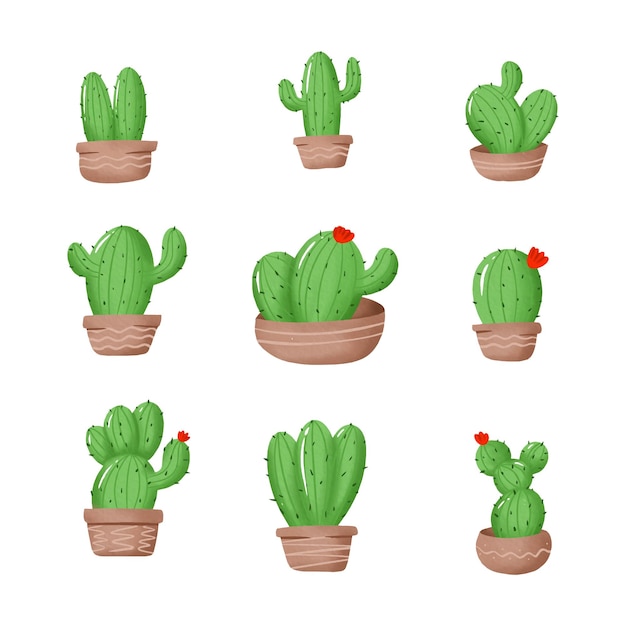 Icono de acuarela de cactus Ilustración aislada del concepto