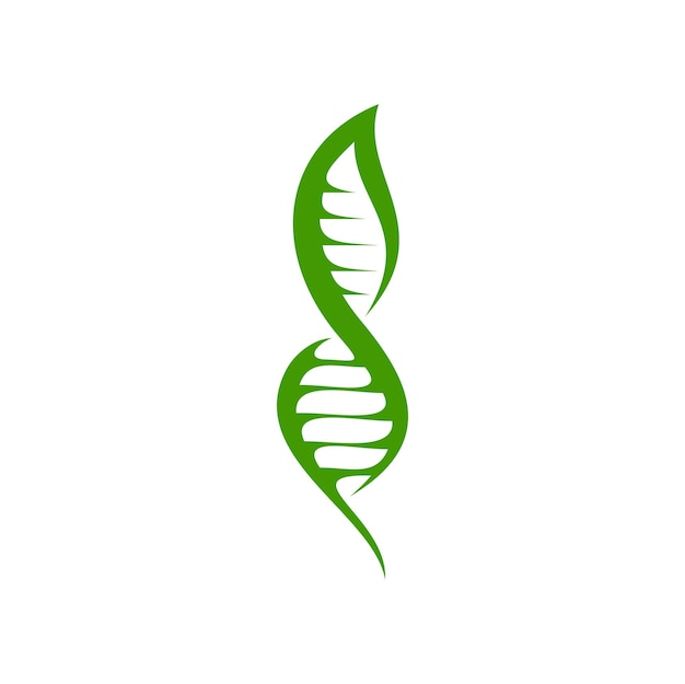 Icono de ADN de hoja de planta verde en hélice genética