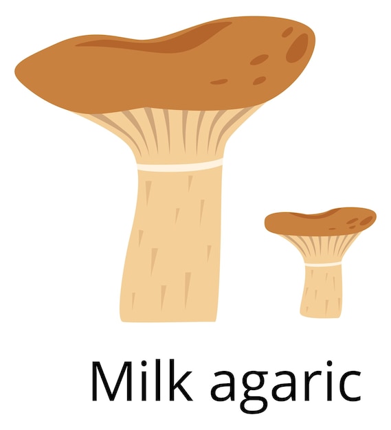Icono de agárico de leche Símbolo de bosque Cosecha de hongos