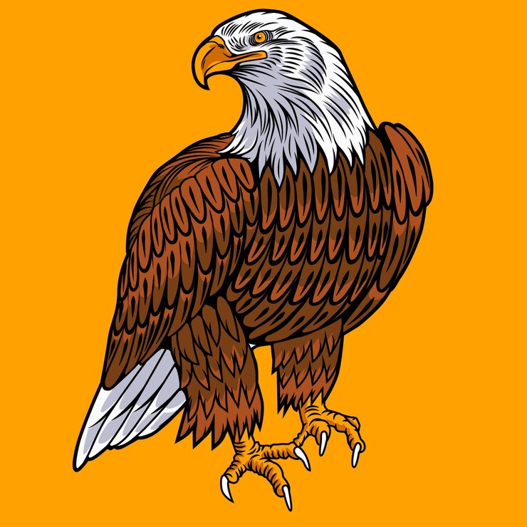 Vector icono de águila, logotipo, animal