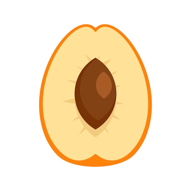 Ícono de albaricoque cortado Ilustración plana del ícono vectorial de albaricoques cortados para diseño web
