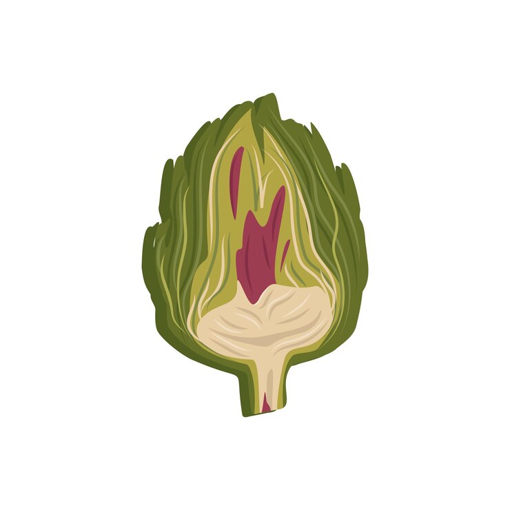 Vector icono de alcachofa verde. verduras y hojas sanas enteras, cosecha. deliciosa comida para ensalada y cocina. ilustración plana vectorial