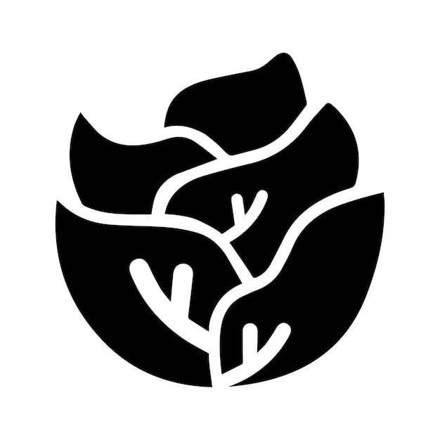 Icono de alimentos de verduras de repollo Gráficos vectoriales en negro