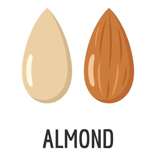 Icono de almendra Ilustración plana del icono de vector de almendra para web