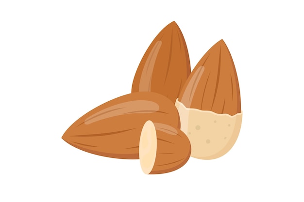 Icono de almendra ilustración plana de plantilla de icono de vector de almendras