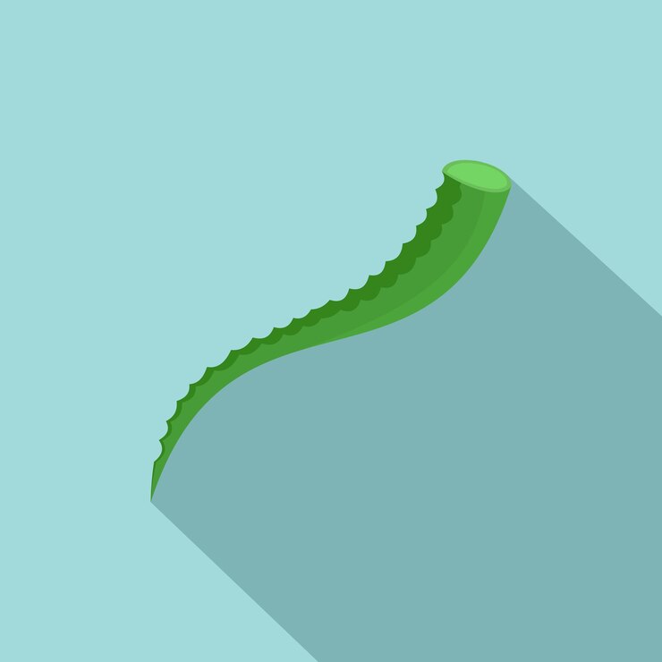 Vector icono de aloe ilustración plana de icono de vector de aloe para diseño web