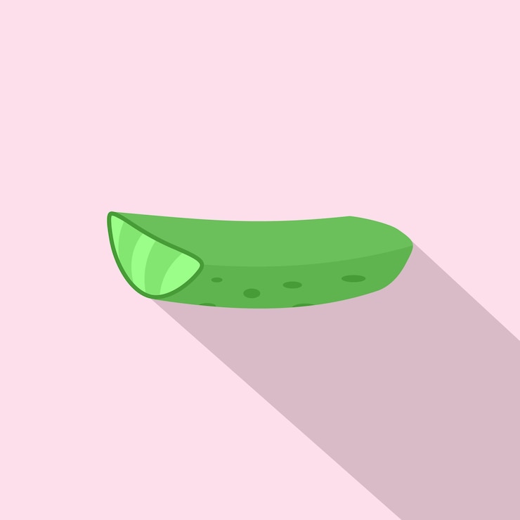 Vector icono de aloe vera ilustración plana de icono de vector de aloe vera para diseño web