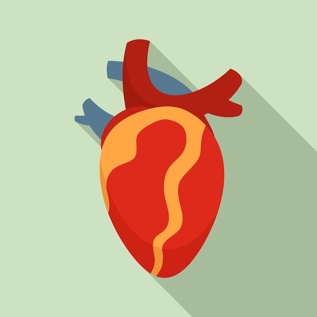Icono de anatomía del corazón humano Ilustración plana del icono de vector de anatomía del corazón humano para diseño web