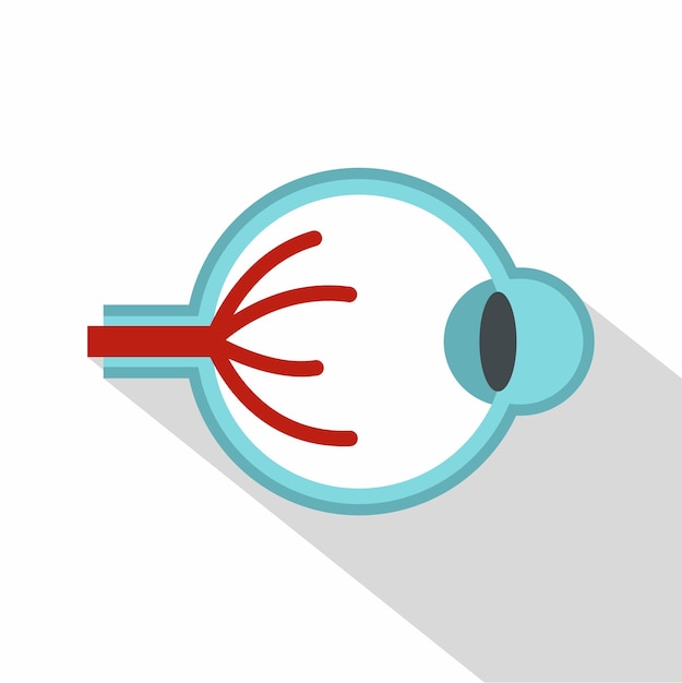 Icono de anatomía ocular Ilustración plana del icono vectorial de anatomía del ojo para la web