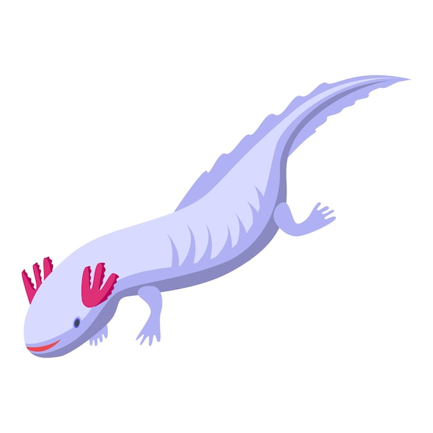 Icono de anfibio ajolote Isométrico de icono de vector de anfibio ajolote para diseño web aislado sobre fondo blanco